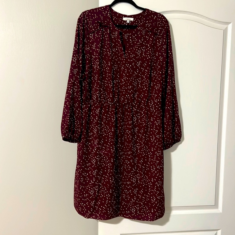 Great fall dress. Maroon with cream dots